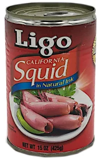 LIGO - SQUID 48/15oz